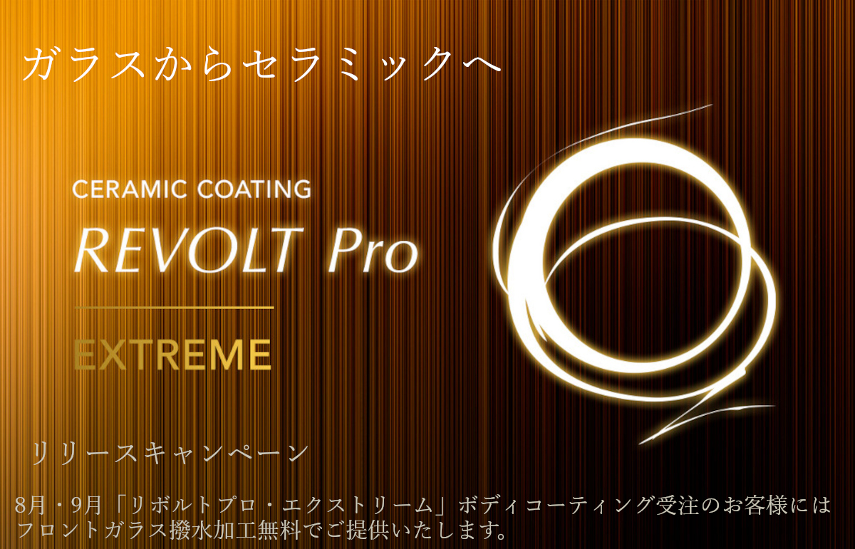 revolt-pro-extreme10242.jpg